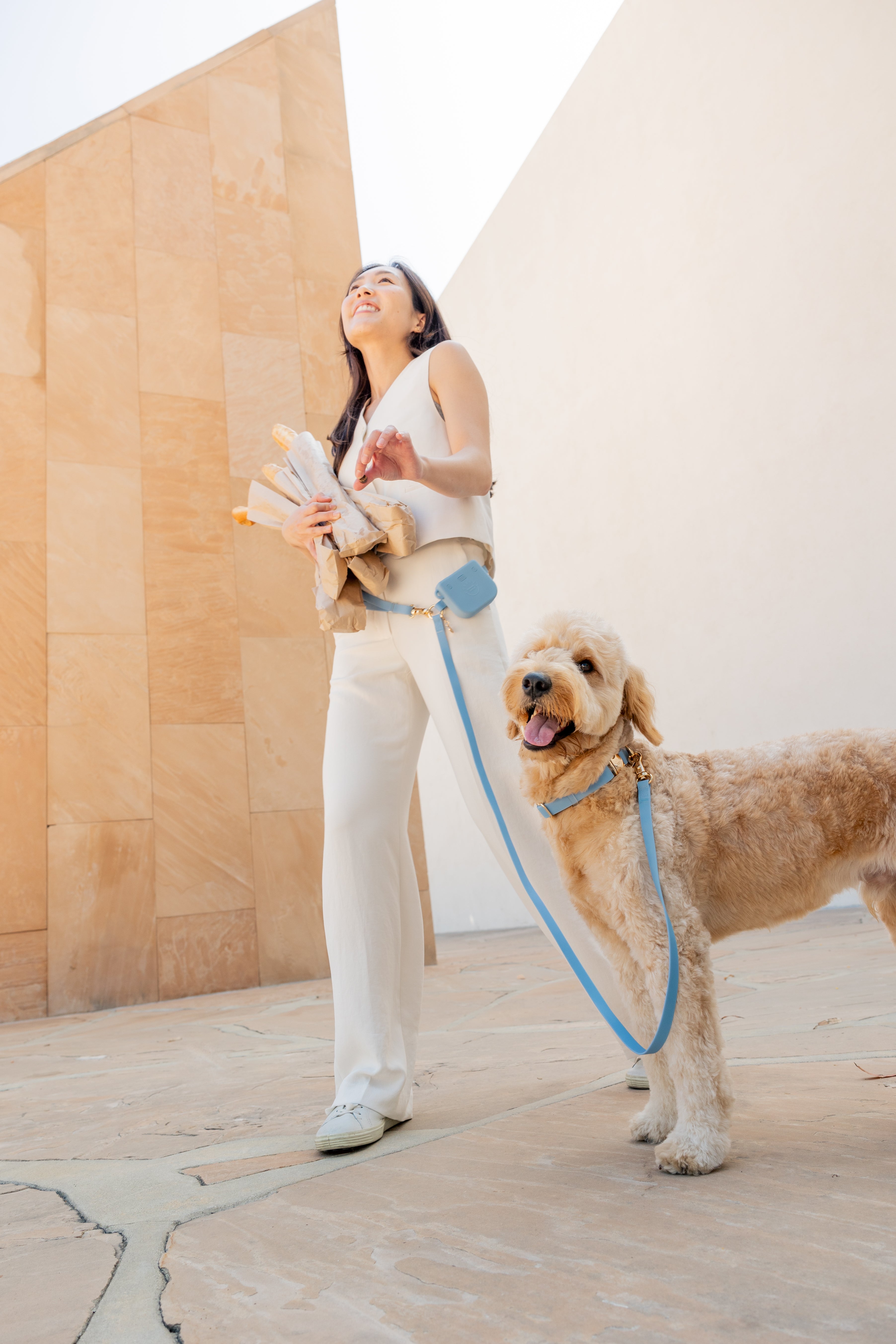 LoveFurEver™ - Harness & Treat Pouch Bundle