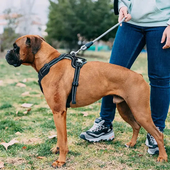 LoveFurEver™ - Anti pull-Harness
