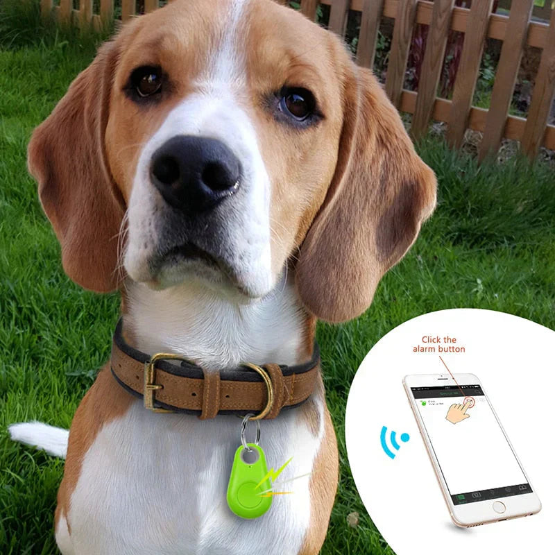 LoveFurEver™ - GPS Tracker