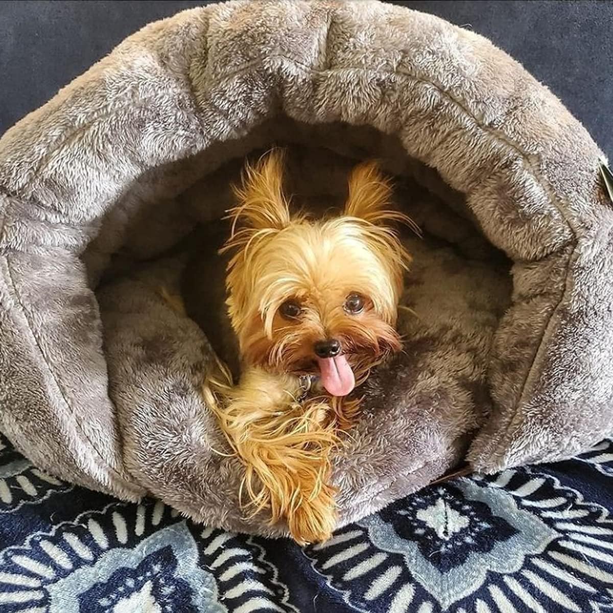 LoveFurEver™ - Cave Dog bed