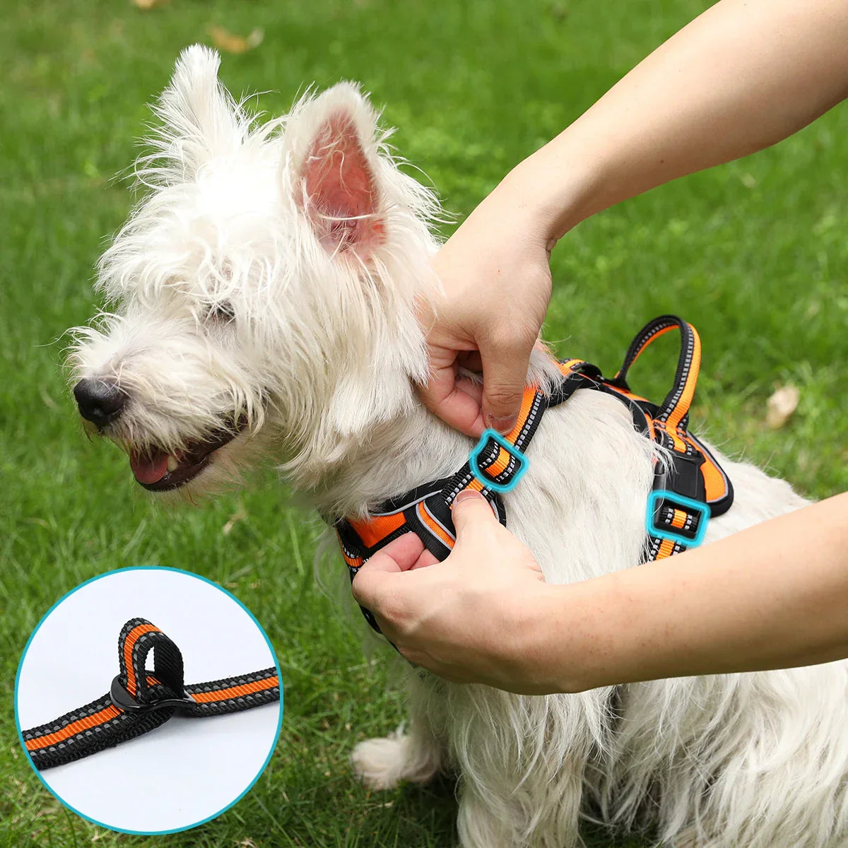 LoveFurEver™ - Anti pull-Harness