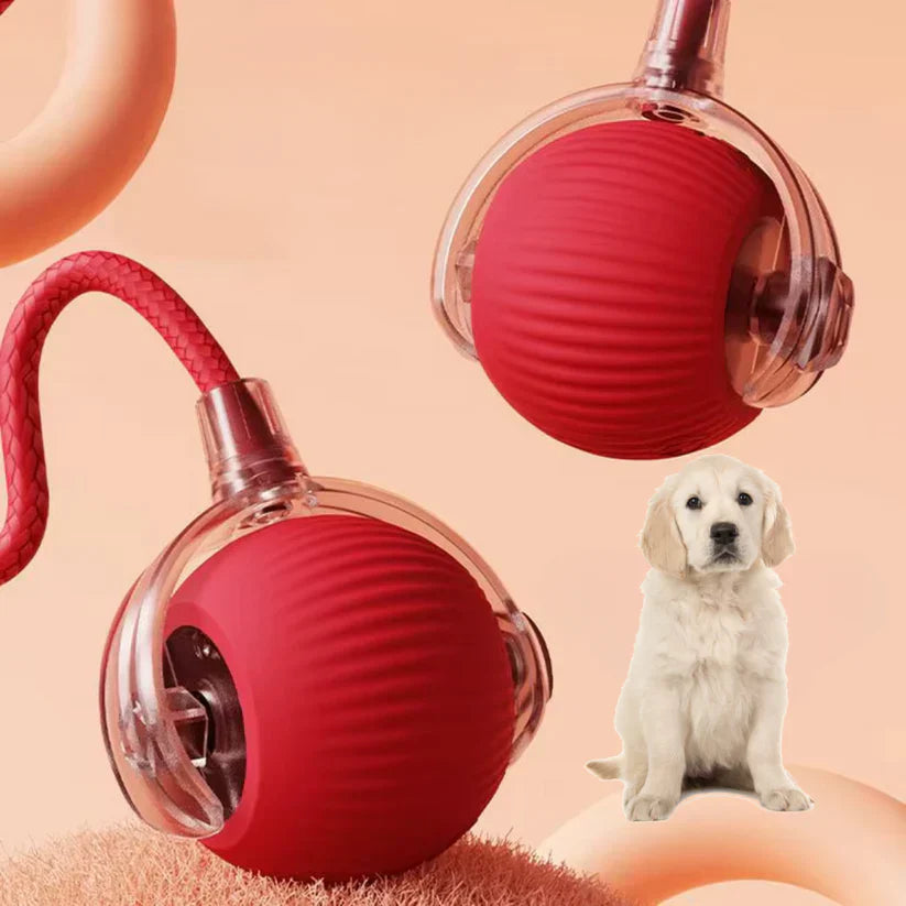LoveFurEver™ - Play ball