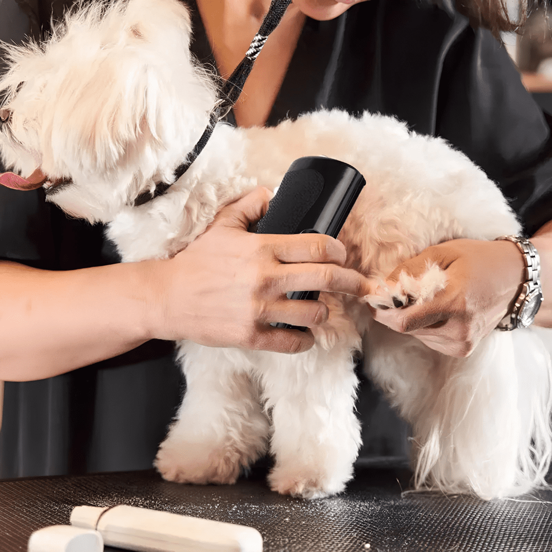 LoveFurEver™ - Self cleaning brush