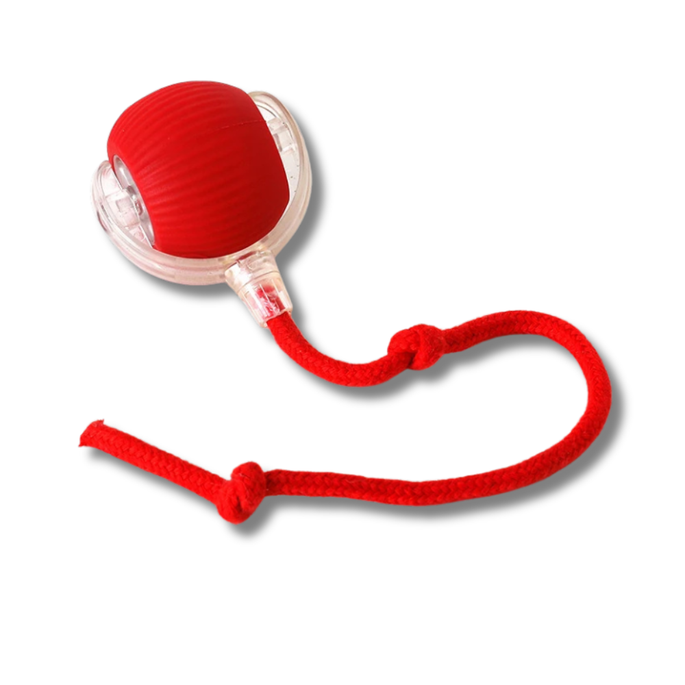 LoveFurEver™ - Play ball