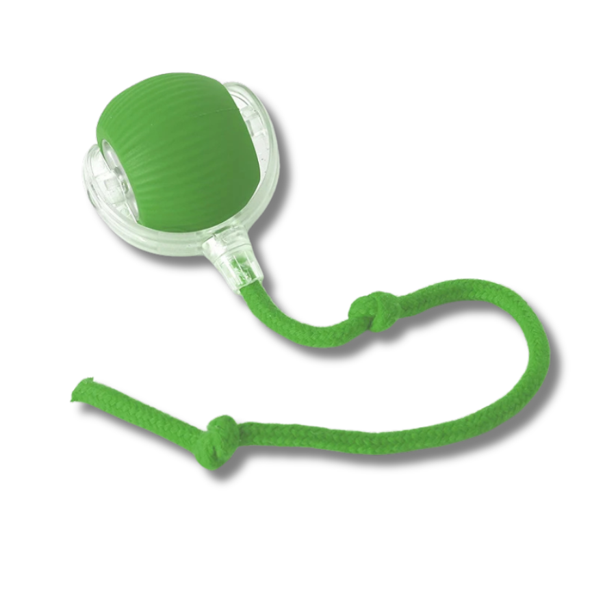 LoveFurEver™ - Play ball
