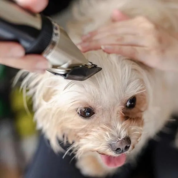LoveFurEver™ - Clipper set