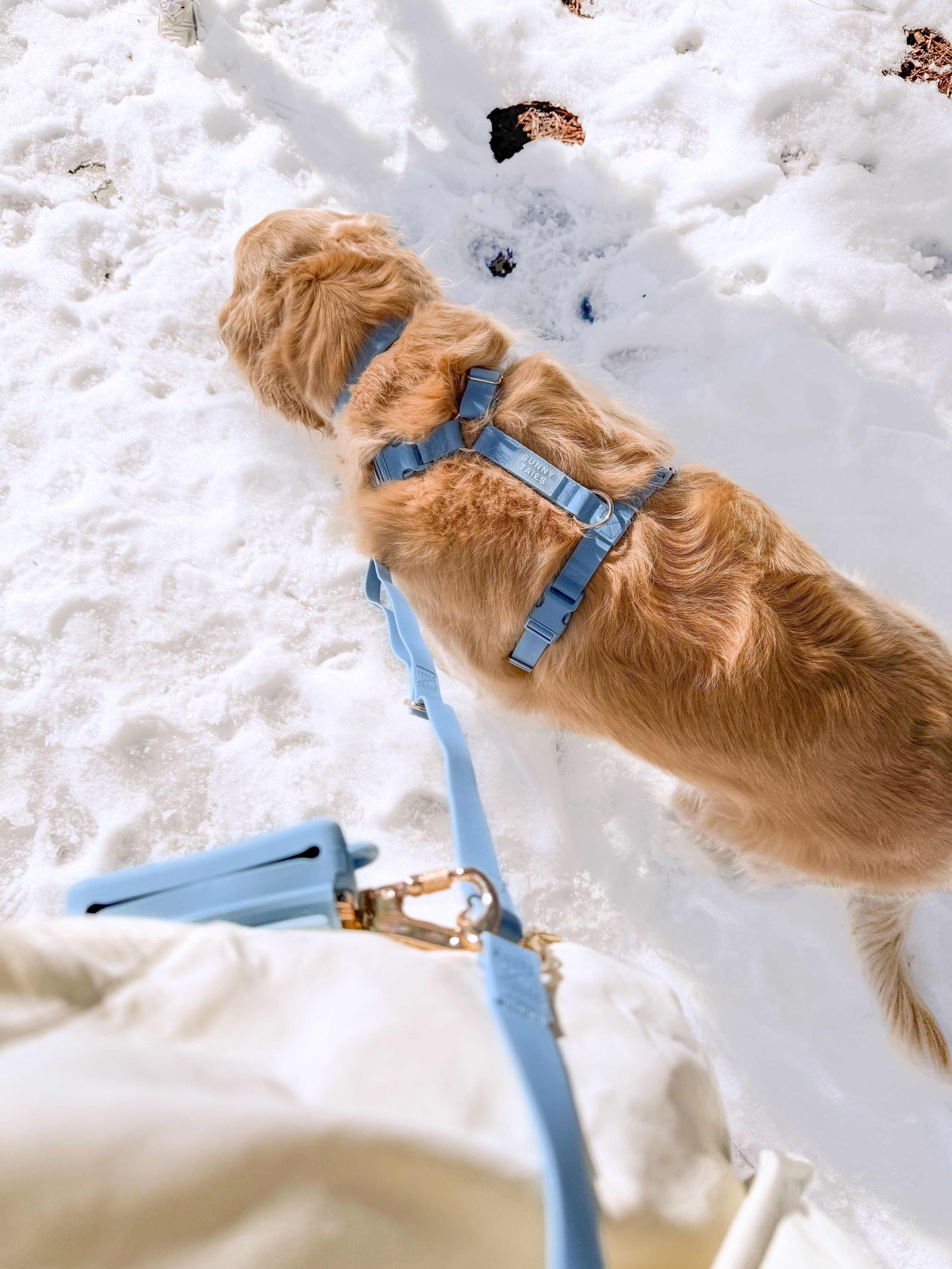 LoveFurEver™ - Harness & Treat Pouch Bundle