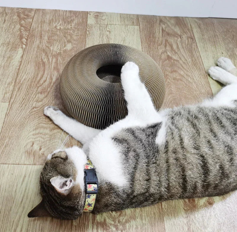 LoveFurEver™ - The playground for indoor tigers