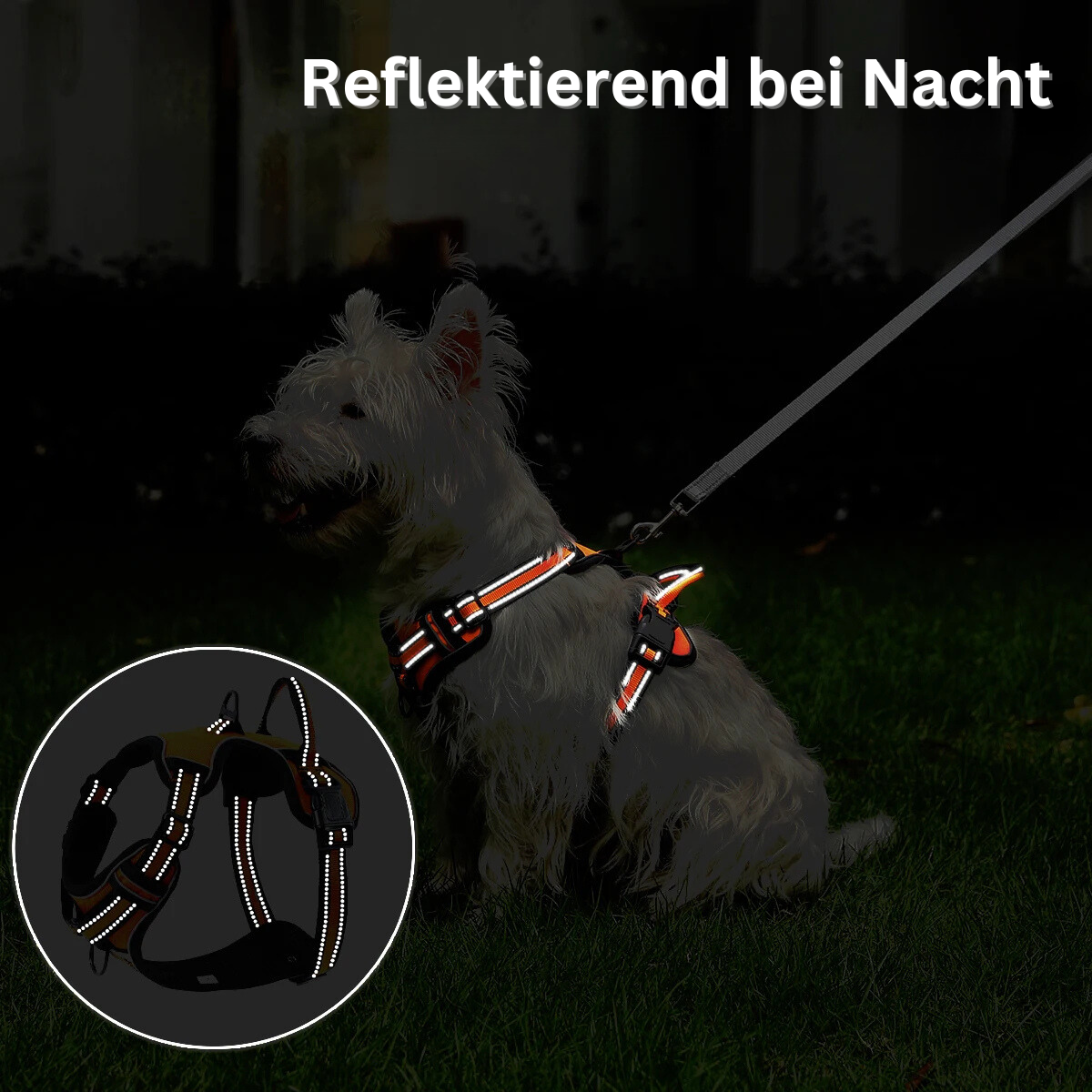 LoveFurEver™ - Anti pull-Harness