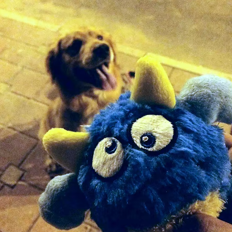 LoveFurEver™ - Plush dog toy