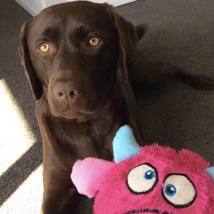 LoveFurEver™ - Plush dog toy