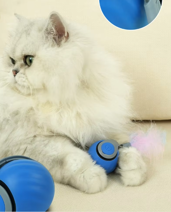 LoveFurEver™  – The Self-Driving Play Ball for Active Cats