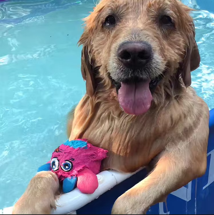 LoveFurEver™ - Plush dog toy