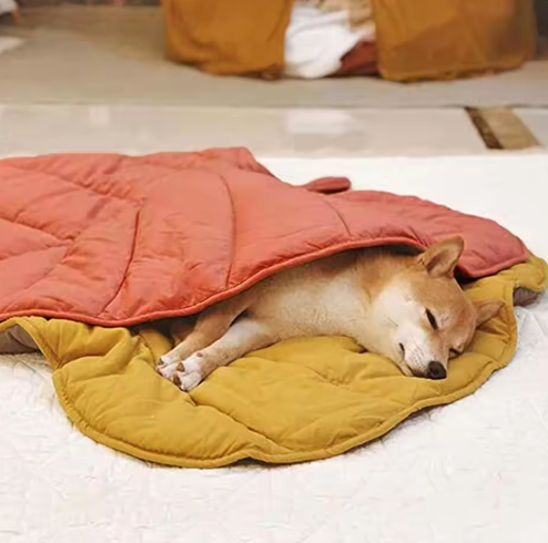 LoveFurEver™ - Double-Sided Dog mat