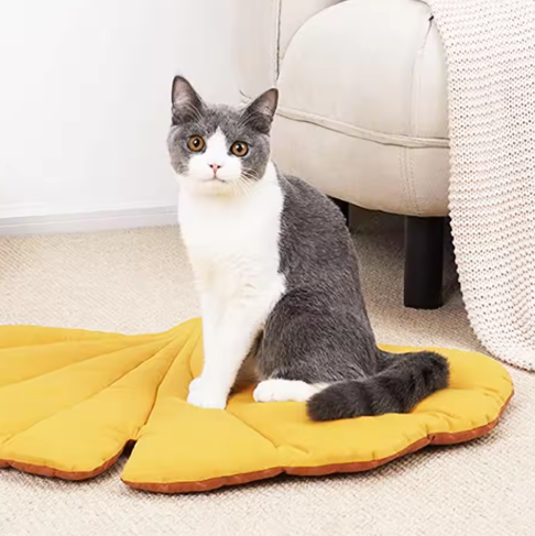LoveFurEver™ - Double-Sided Dog mat