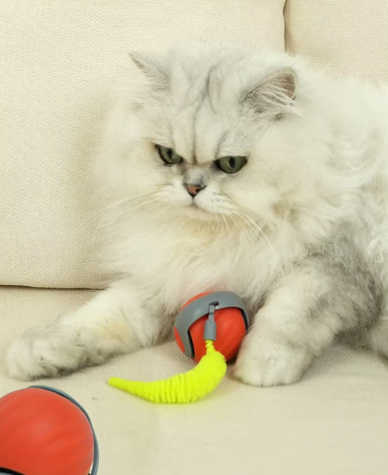 LoveFurEver™  – The Self-Driving Play Ball for Active Cats