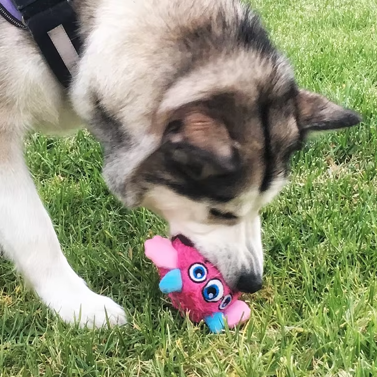 LoveFurEver™ - Plush dog toy