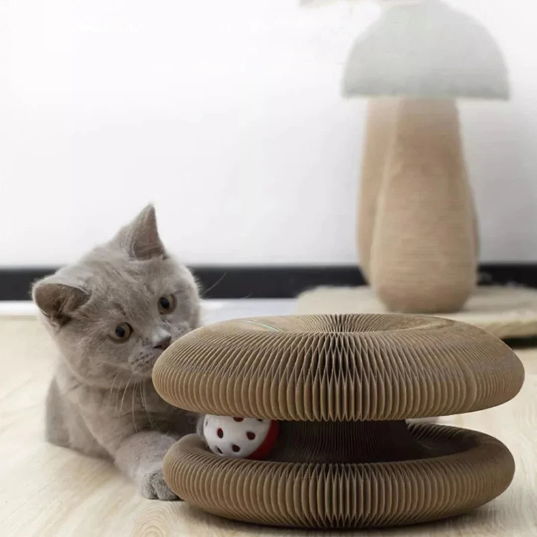LoveFurEver™ - The playground for indoor tigers