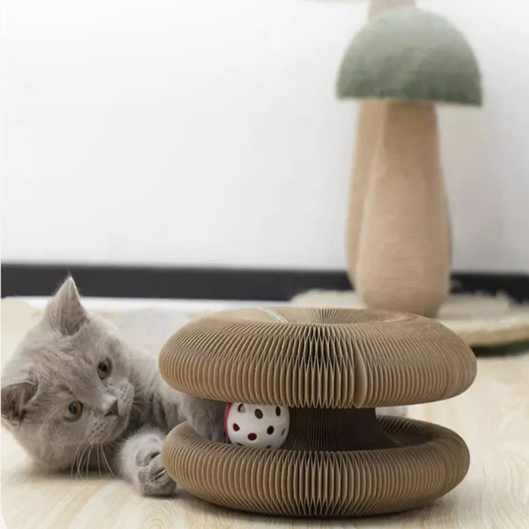 LoveFurEver™ - The playground for indoor tigers