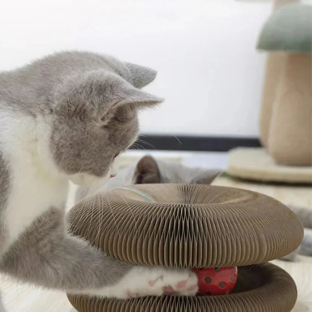 LoveFurEver™ - The playground for indoor tigers