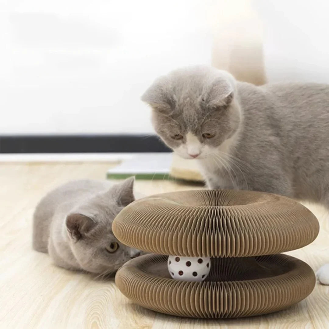 LoveFurEver™ - The playground for indoor tigers