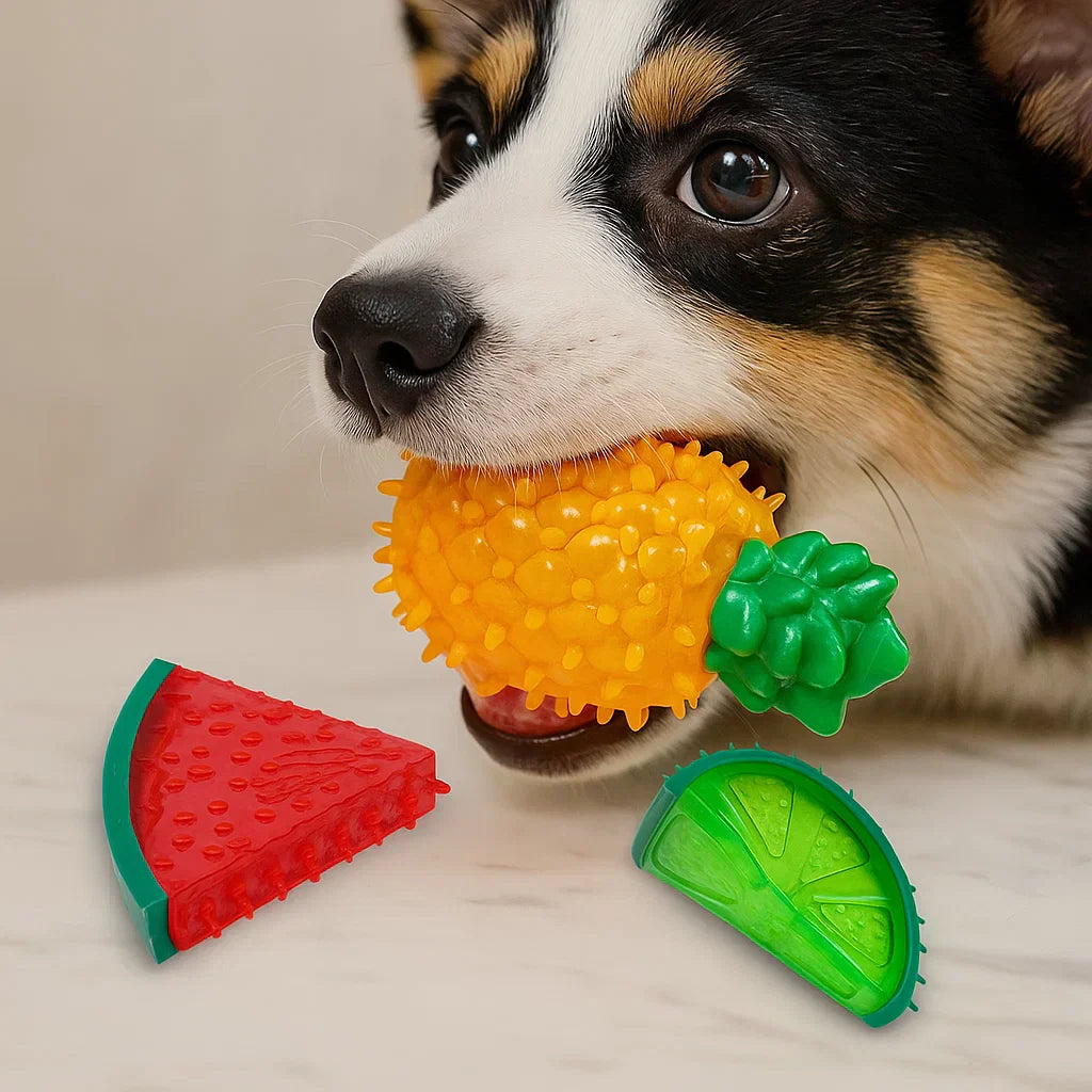 LoveFurEver™ - Chew toy fruits