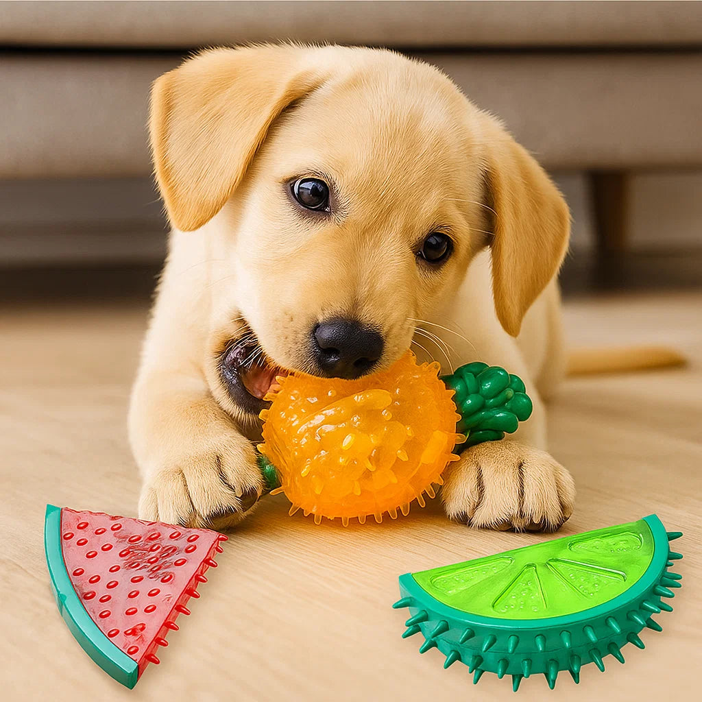 LoveFurEver™ - Chew toy fruits