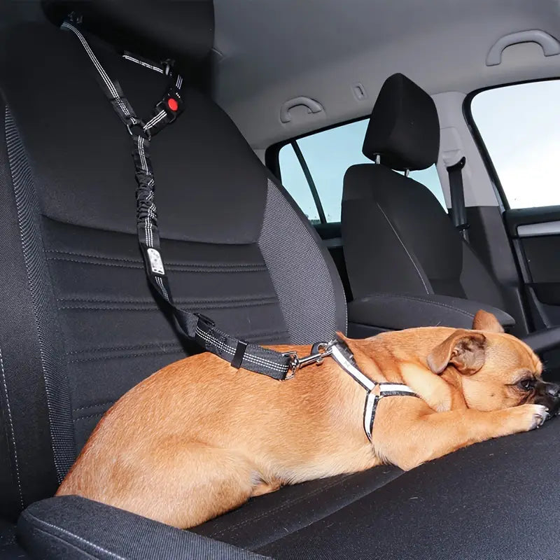 LoveFurEver™ - Dog seatbelt