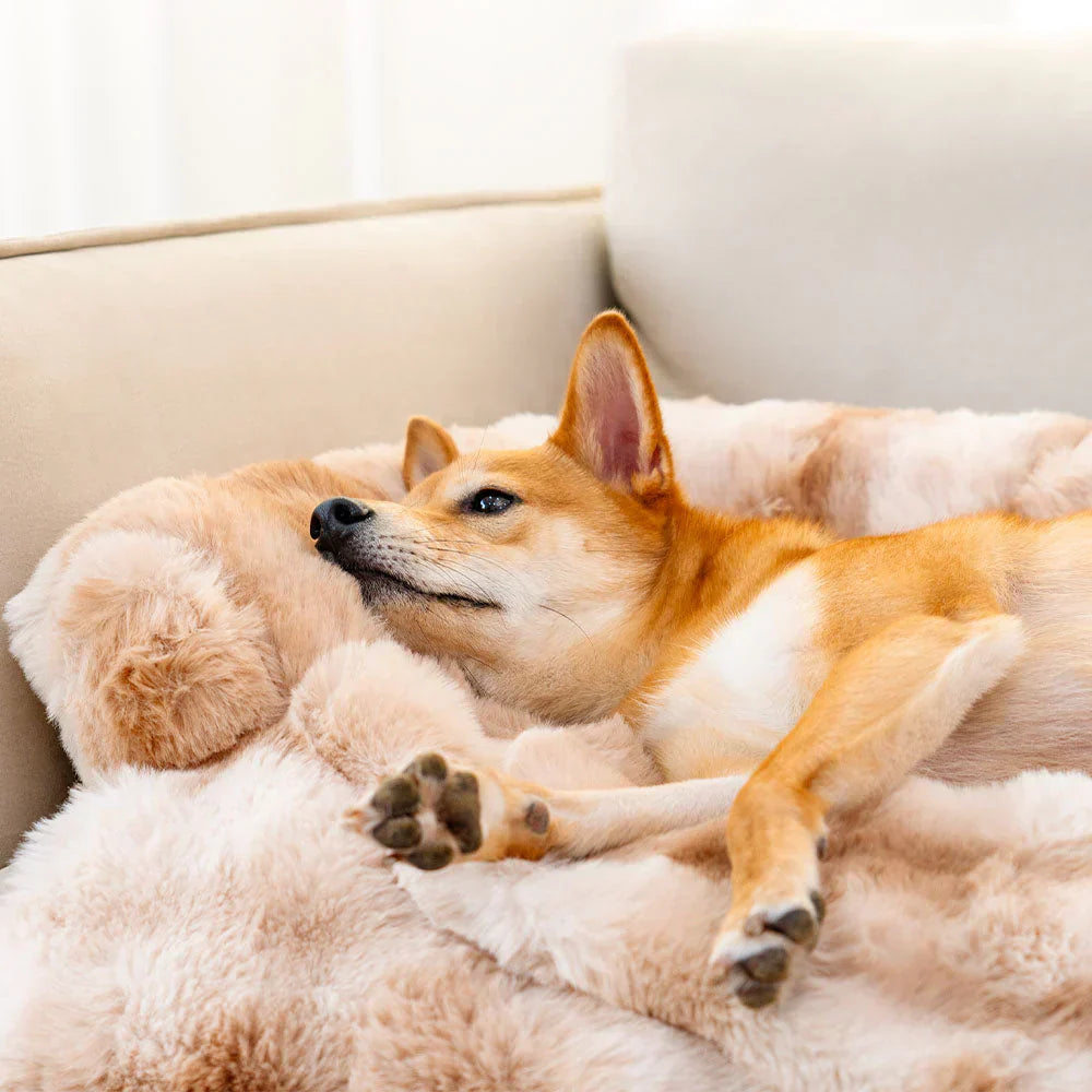 LoveFurEver™ - Cozy Dog bed