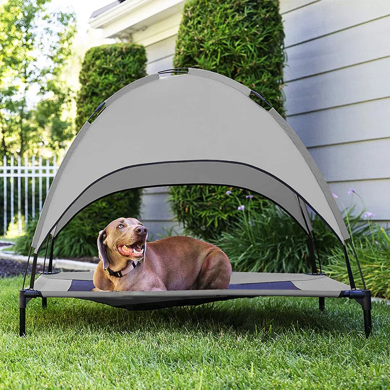 LoveFurEver™ - Dog Lounge