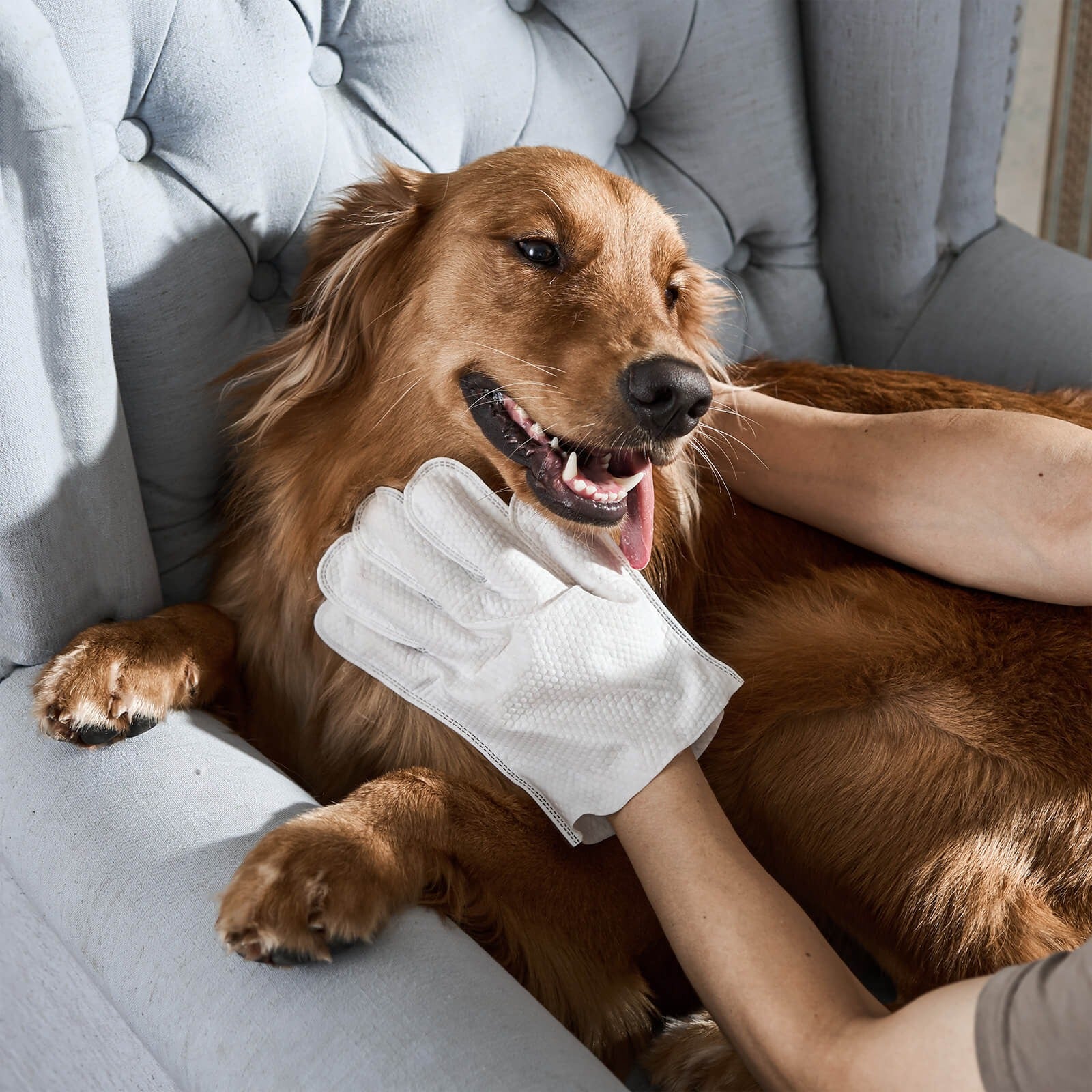 LoveFurEver™ - Brush gloves