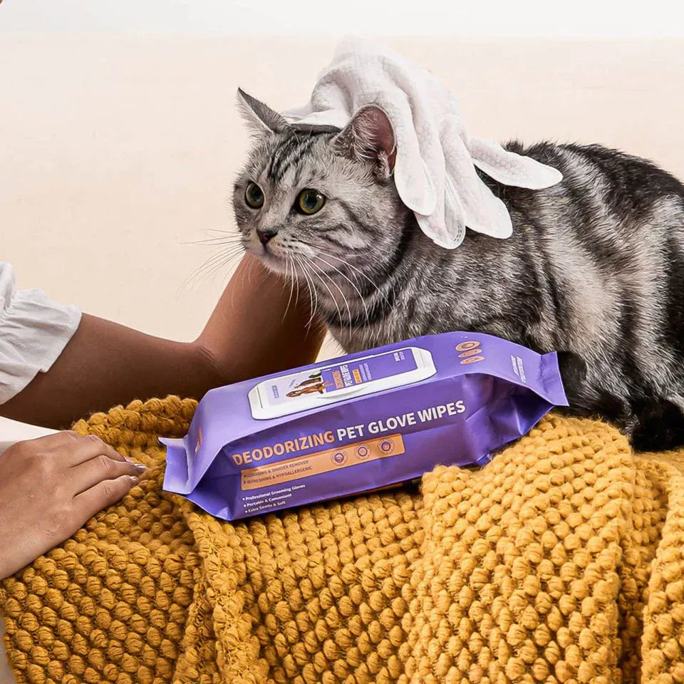LoveFurEver™ - Brush gloves